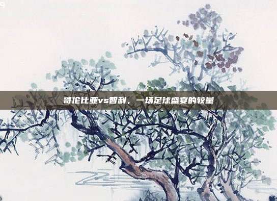 哥伦比亚vs智利,一场足球盛宴的较量