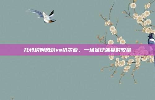 托特纳姆热刺vs切尔西,一场足球盛宴的较量