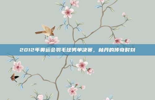 2012年奥运会羽毛球男单决赛，林丹的传奇时刻