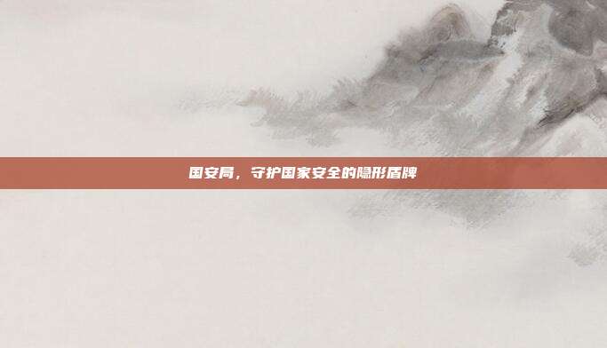 国安局，守护国家安全的隐形盾牌