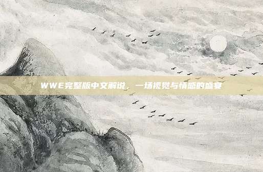 WWE完整版中文解说,一场视觉与情感的盛宴