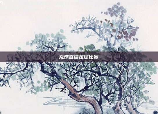 龙珠直播足球比赛