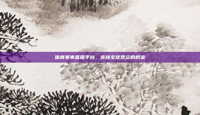 体育赛事直播平台,连接全球观众的桥梁