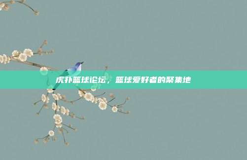 虎扑篮球论坛,篮球爱好者的聚集地