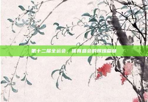 第十二届全运会,体育盛会的辉煌篇章