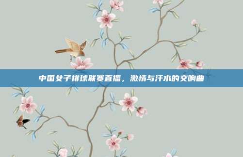 中国女子排球联赛直播,激情与汗水的交响曲