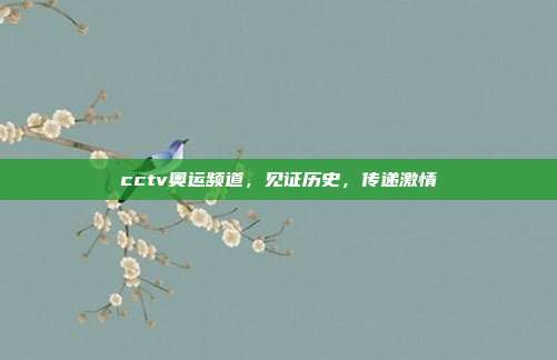 cctv奥运频道,见证历史,传递激情