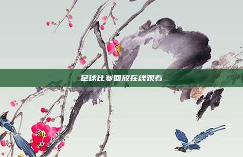 足球比赛回放在线观看
