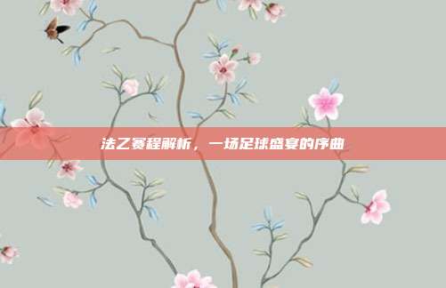 法乙赛程解析,一场足球盛宴的序曲