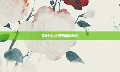 科比失去双腿的传奇