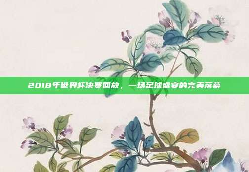 2018年世界杯决赛回放，一场足球盛宴的完美落幕