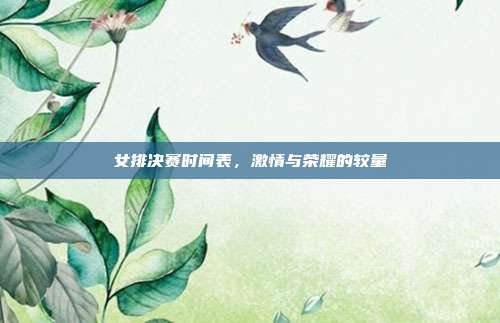 女排决赛时间表，激情与荣耀的较量