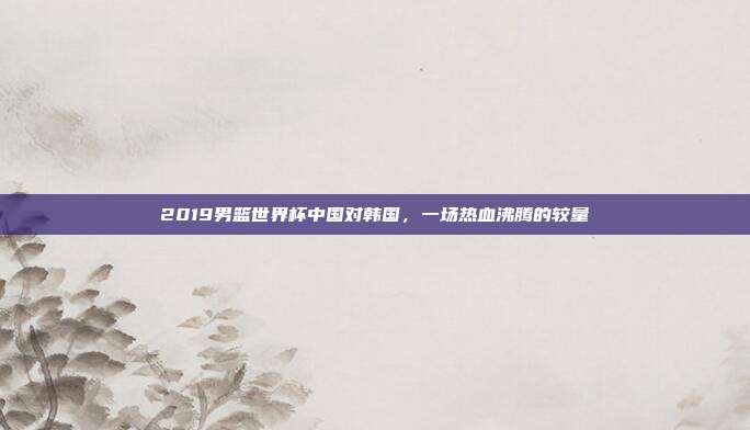 2019男篮世界杯中国对韩国,一场热血沸腾的较量