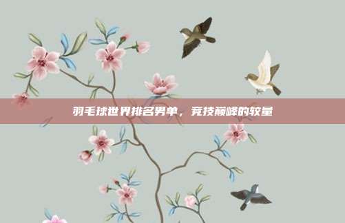 羽毛球世界排名男单,竞技巅峰的较量