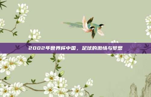 2002年世界杯中国,足球的激情与梦想