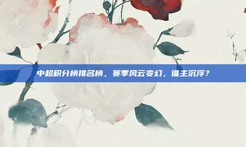 中超积分榜排名榜,赛季风云变幻,谁主沉浮?