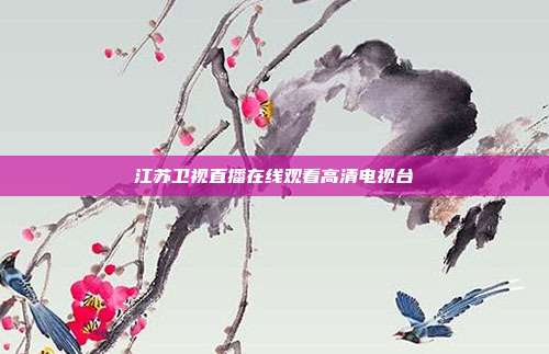 江苏卫视直播在线观看高清电视台