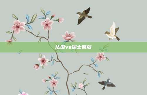 法国vs瑞士回放