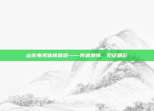 山东电视体育频道——传递激情,见证精彩