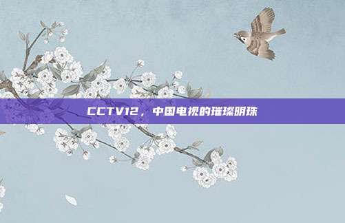 CCTV12,中国电视的璀璨明珠
