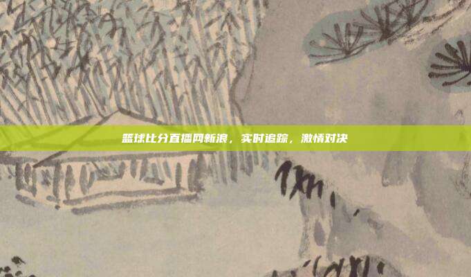 篮球比分直播网新浪,实时追踪,激情对决