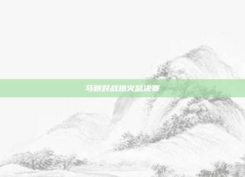 马刺对战热火总决赛
