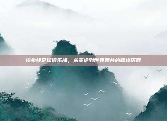 埃弗顿足球俱乐部，从英伦到世界舞台的辉煌历程
