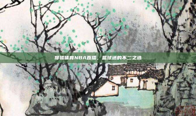 搜狐体育NBA直播,篮球迷的不二之选