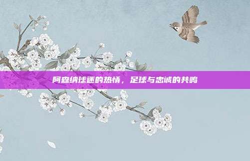 阿森纳球迷的热情,足球与忠诚的共鸣