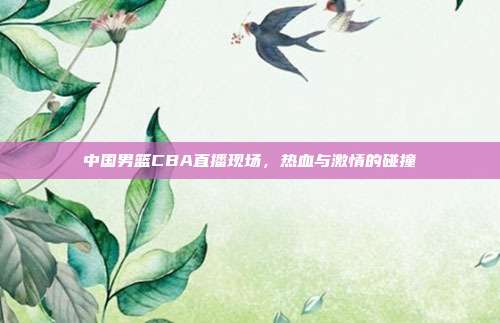 中国男篮CBA直播现场,热血与激情的碰撞