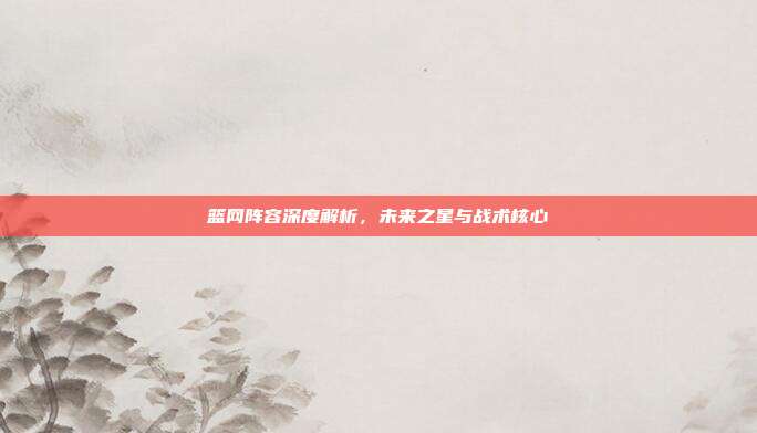 篮网阵容深度解析,未来之星与战术核心