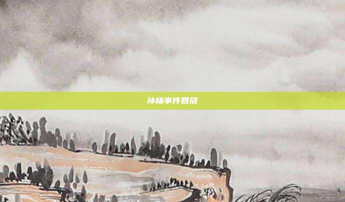 孙杨事件回放
