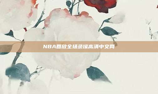NBA回放全场录像高清中文网