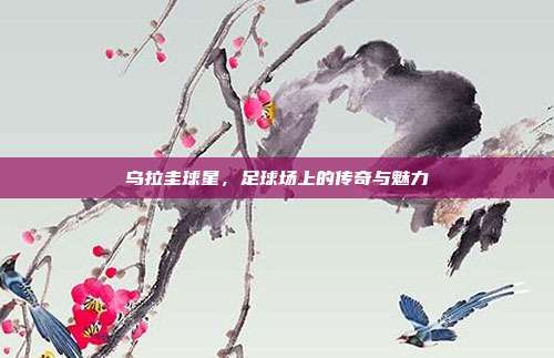 乌拉圭球星,足球场上的传奇与魅力