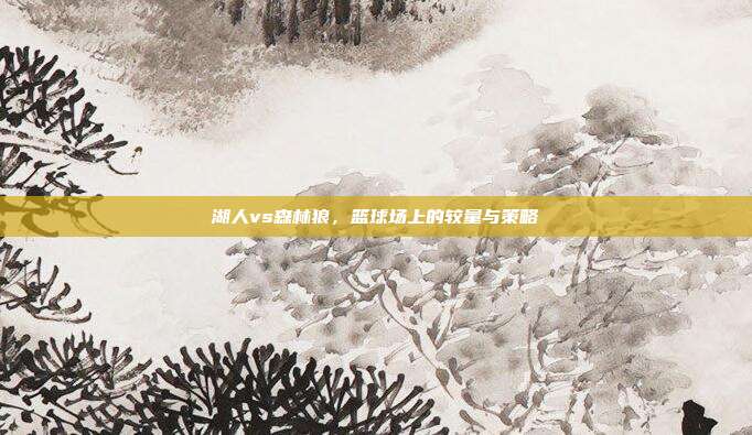 湖人vs森林狼,篮球场上的较量与策略