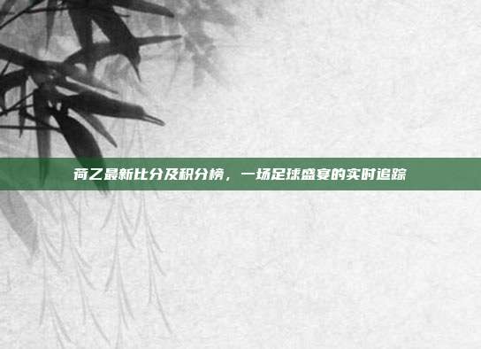 荷乙最新比分及积分榜，一场足球盛宴的实时追踪
