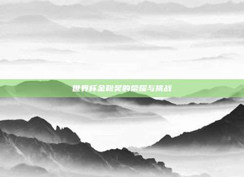 世界杯金靴奖的荣耀与挑战