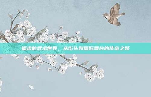 播求的武术世界,从街头到国际舞台的传奇之路
