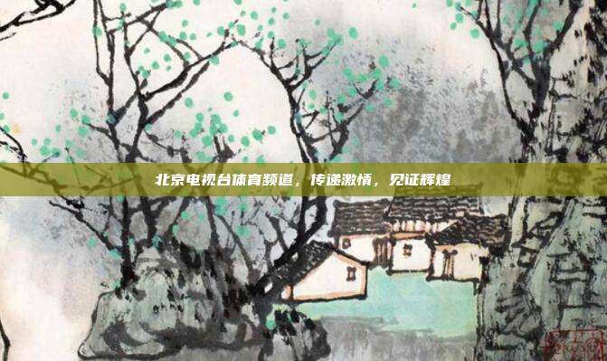 北京电视台体育频道,传递激情,见证辉煌