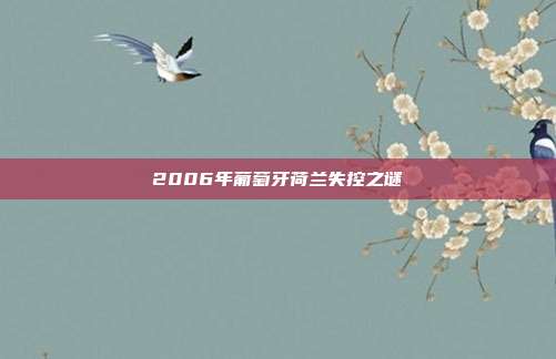 2006年葡萄牙荷兰失控之谜