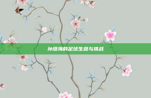 孙继海的足球生涯与挑战