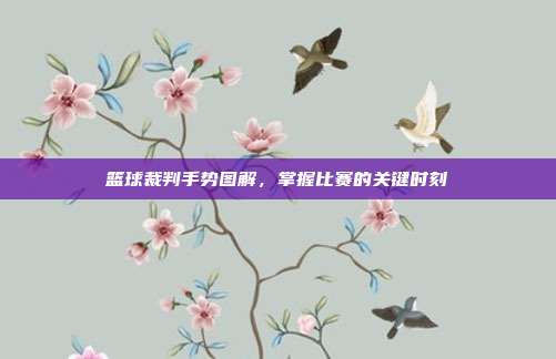 篮球裁判手势图解,掌握比赛的关键时刻