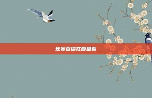 球赛直播在哪里看