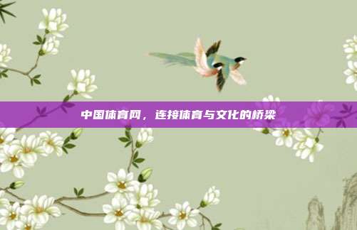 中国体育网,连接体育与文化的桥梁