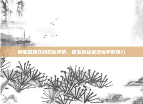 英超直播在线观看高清,体验顶级足球赛事的魅力