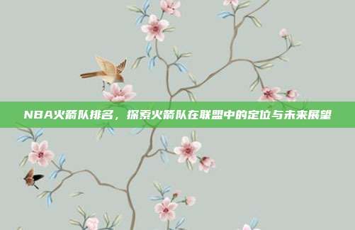 NBA火箭队排名，探索火箭队在联盟中的定位与未来展望