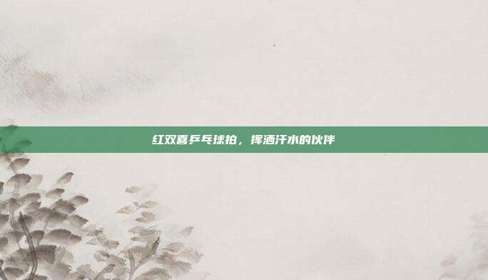 红双喜乒乓球拍,挥洒汗水的伙伴