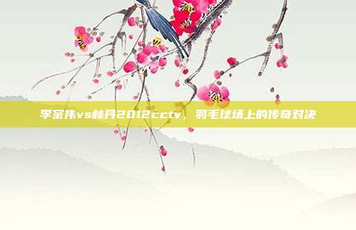 李宗伟vs林丹2012cctv,羽毛球场上的传奇对决