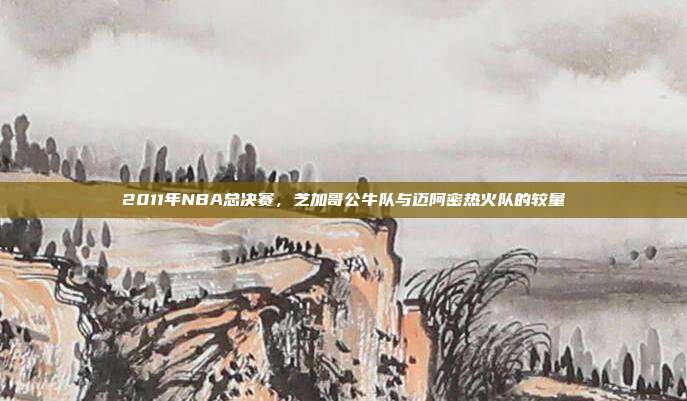 2011年NBA总决赛,芝加哥公牛队与迈阿密热火队的较量