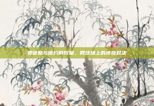 费德勒与德约的较量,网球场上的传奇对决